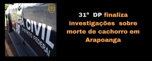 31ª DP conclui investigações sobre morte de cachorro em petshop