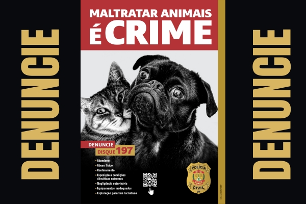 PCDF resgata cão adulto vítima de maus-tratos em Vicente Pires