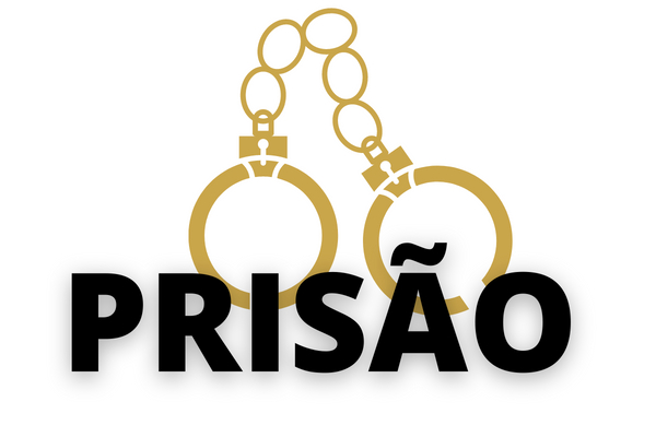 38ª DP deflagra Operação Skadi e prende influencer digital