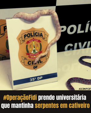 PCDF deflagra Operação Fidi