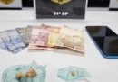 Ação da 31ª DP Combate Tráfico de Drogas e Crime Ambiental...